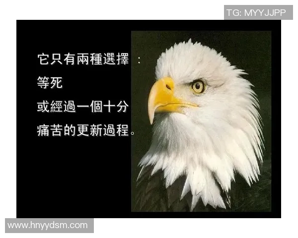 恩佐的成长之路:从平凡少年到璀璨明星的奋斗历程与人生启示 恩佐的成长之路:从平凡少年到璀璨明星的奋斗历程与人生启示